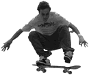tiburon1.gif